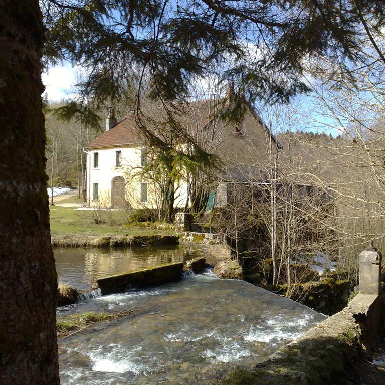 Au Moulin Des Fees - Maison D'Hotes Cascades Du Herisson Bonlieu Екстер'єр фото
