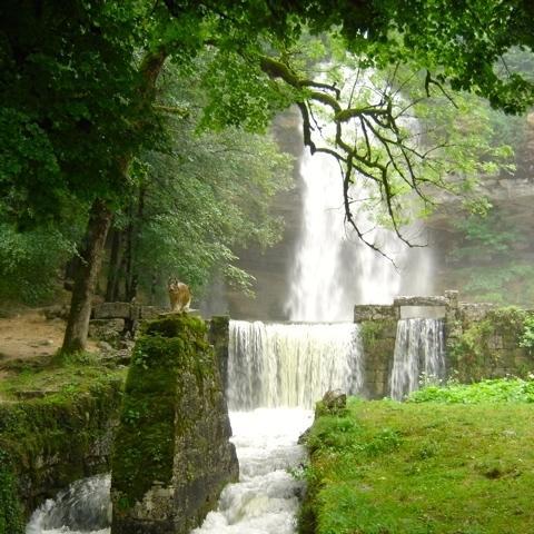 Au Moulin Des Fees - Maison D'Hotes Cascades Du Herisson Bonlieu Екстер'єр фото